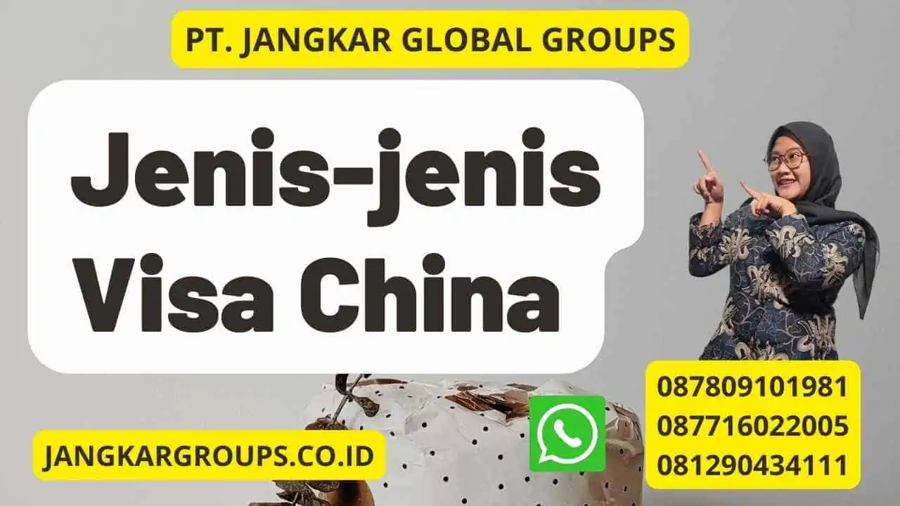 Jenis-jenis Visa China