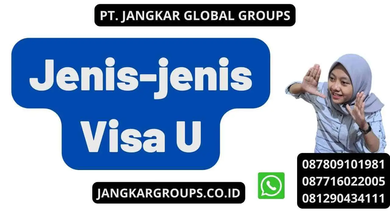 Jenis-jenis Visa U