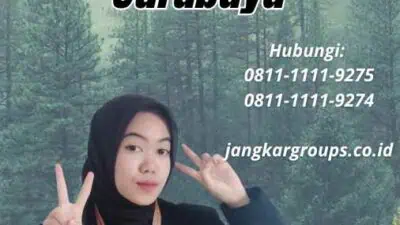 Layanan Dari Paspor Online Imigrasi Surabaya