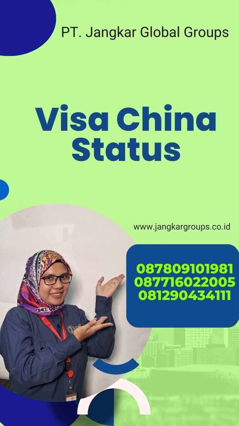 Visa China Status