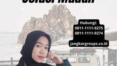 Paspor Online Imigrasi Karawang Solusi Mudah