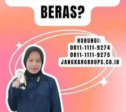 Sejak Kapan Indonesia Impor Beras