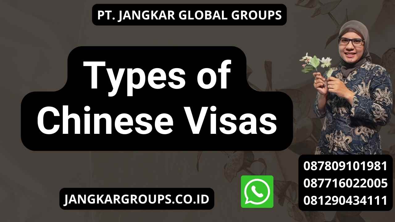 Types of Chinese Visas