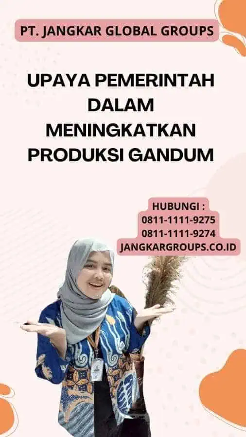 Upaya Pemerintah dalam Meningkatkan Produksi Gandum