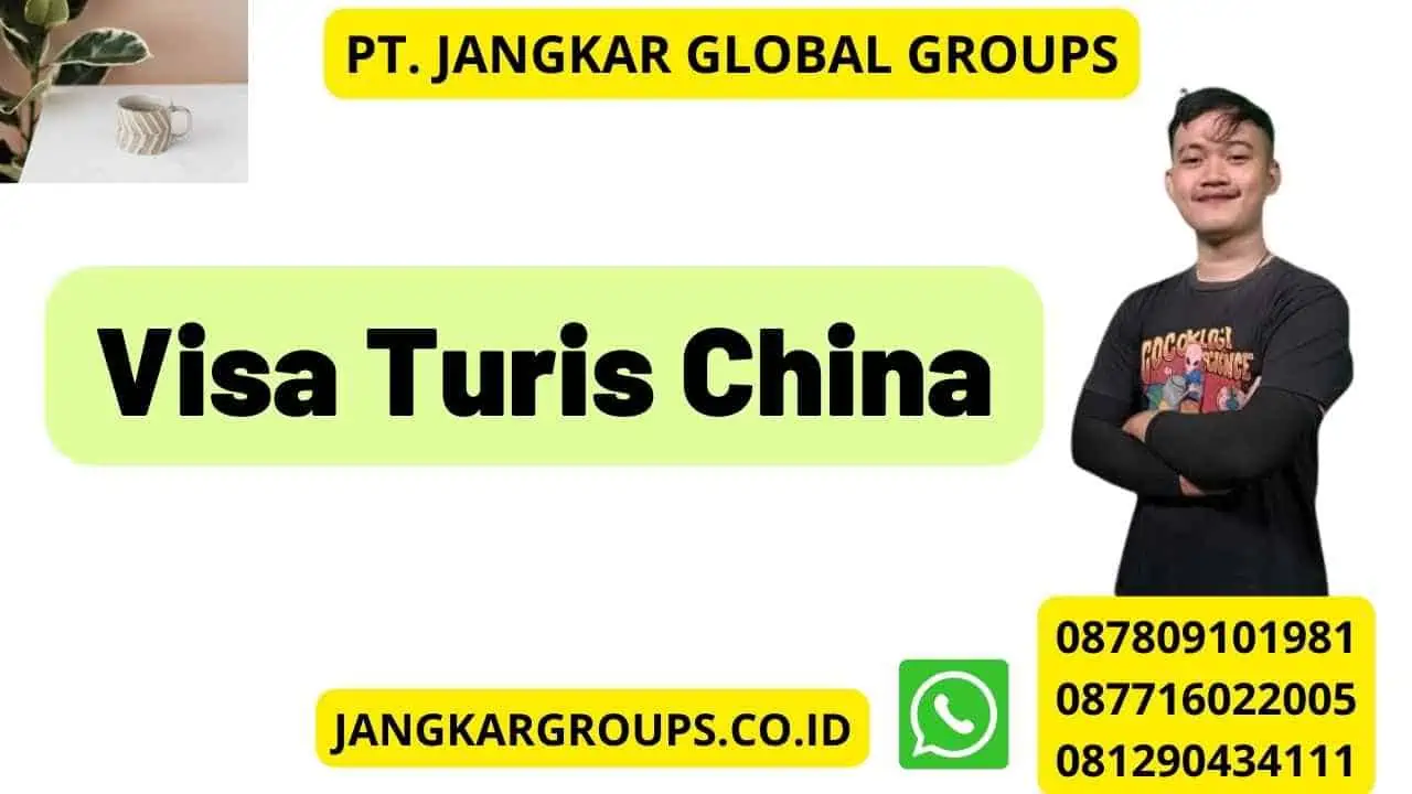 Visa Turis China