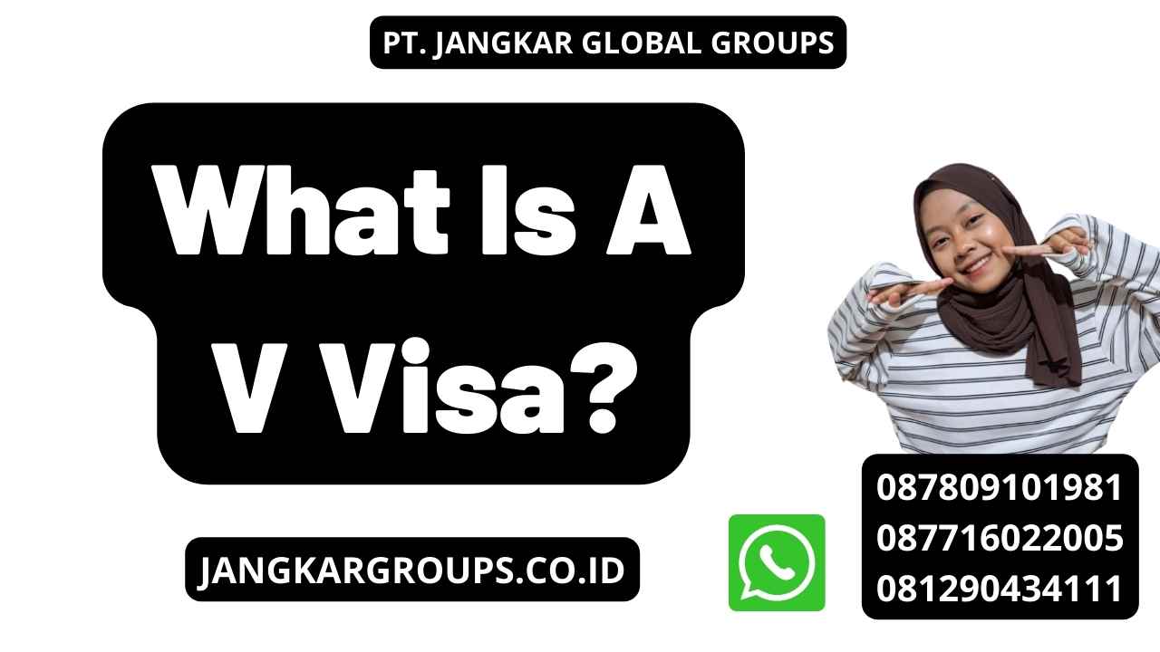 What Is A V Visa?