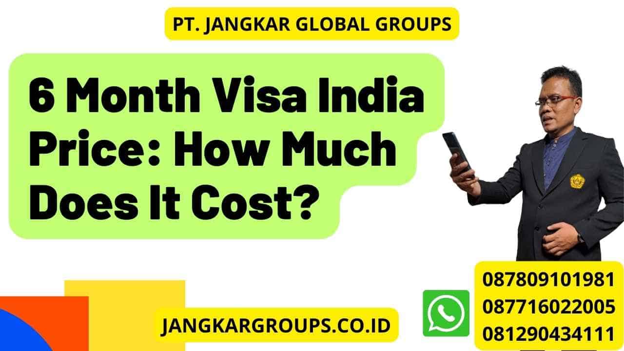6 Month Visa India Price: How Much Does It Cost?