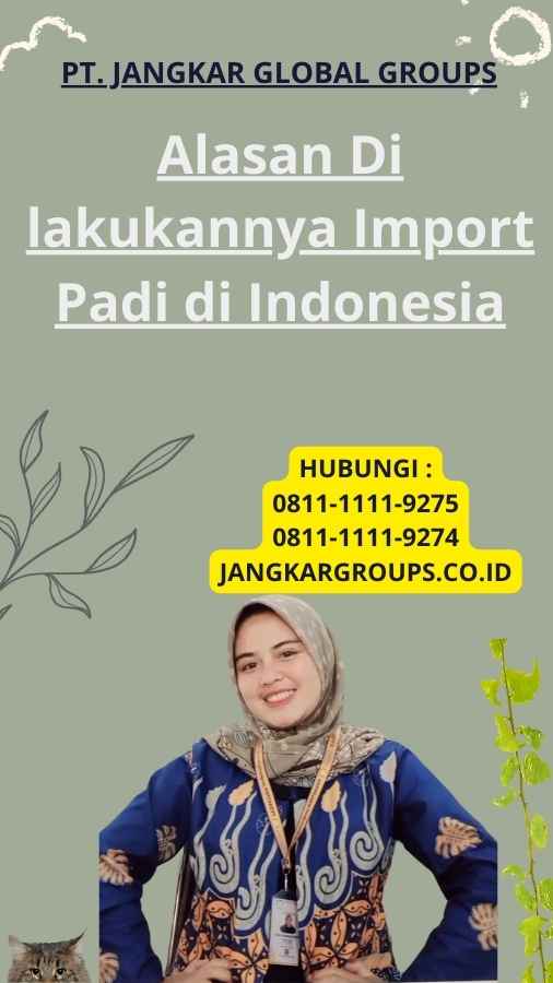 Alasan Di lakukannya Import Padi di Indonesia