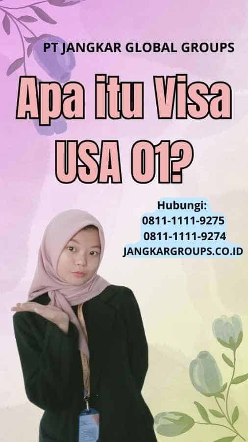 Apa itu Visa USA 01