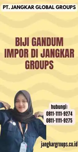 Biji Gandum Impor di Jangkar Groups