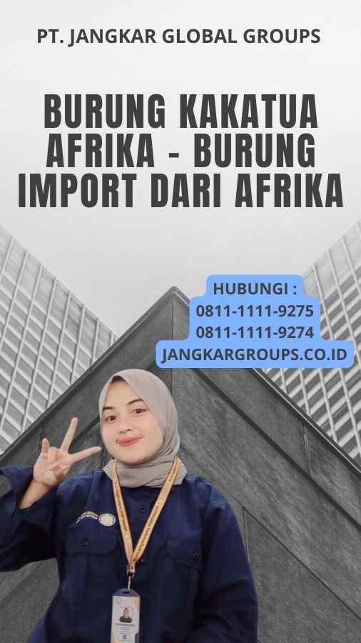 Burung Kakatua Afrika - Burung Import Dari Afrika