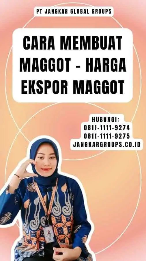 Cara Membuat Maggot - Harga Ekspor Maggot