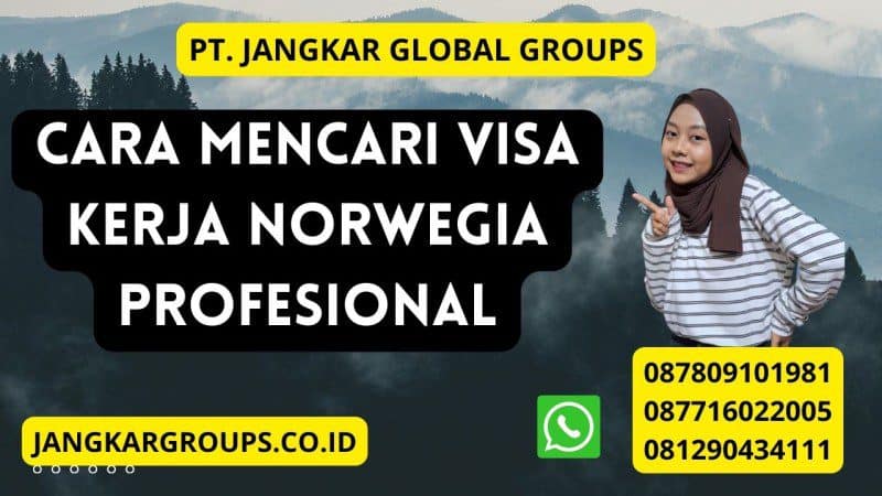 Cara Mencari Visa Kerja Norwegia Profesional