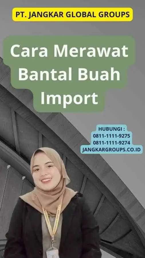 Cara Merawat Bantal Buah Import