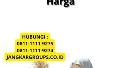 Harga Bawang Import Hari Ini - Memahami Harga