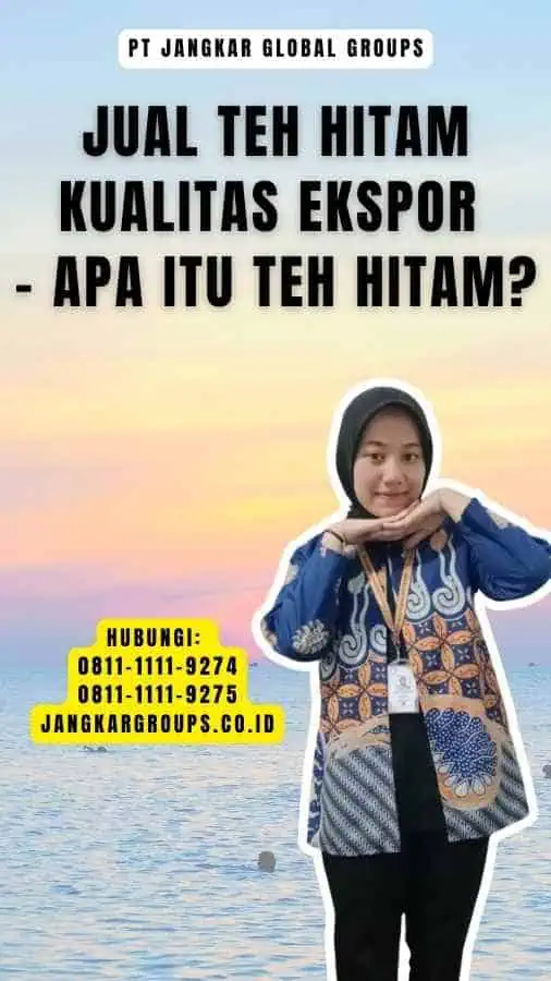 Jual Teh Hitam Kualitas Ekspor - Apa Itu Teh Hitam