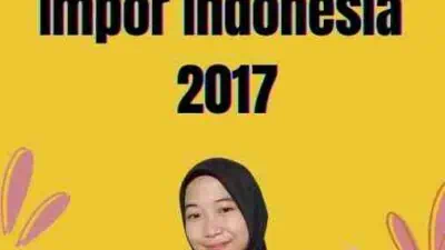 Komoditas Impor Indonesia 2017