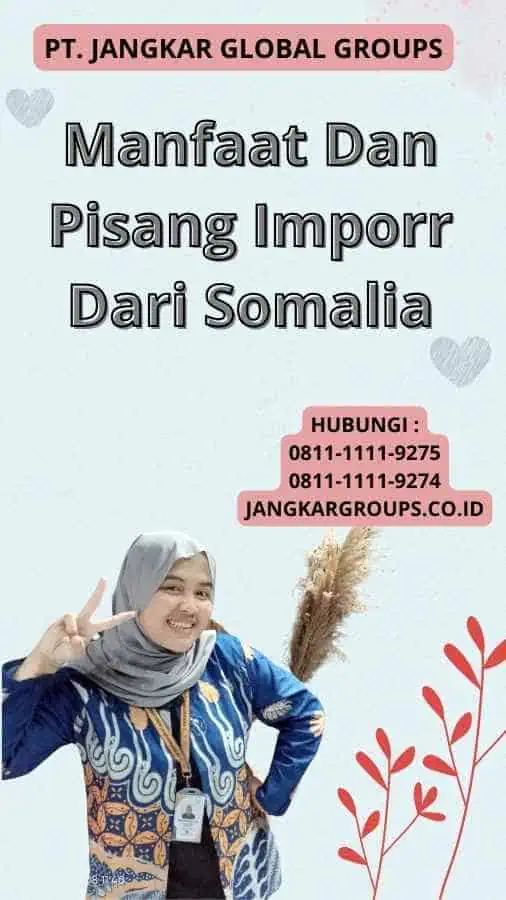 Manfaat Dan Pisang Imporr Dari Somalia