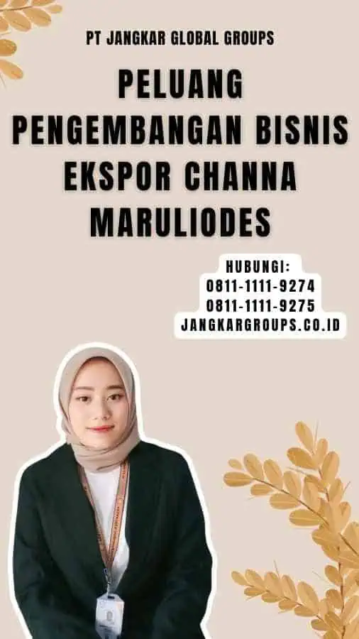 Peluang Pengembangan Bisnis Ekspor Channa Maruliodes