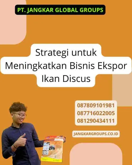 Strategi untuk Meningkatkan Bisnis Ekspor Ikan Discus