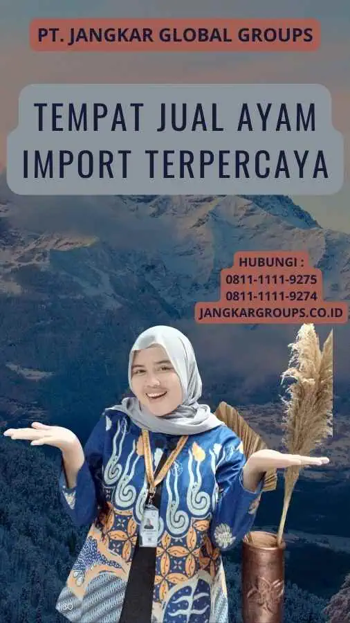 Tempat Jual Ayam Import Terpercaya