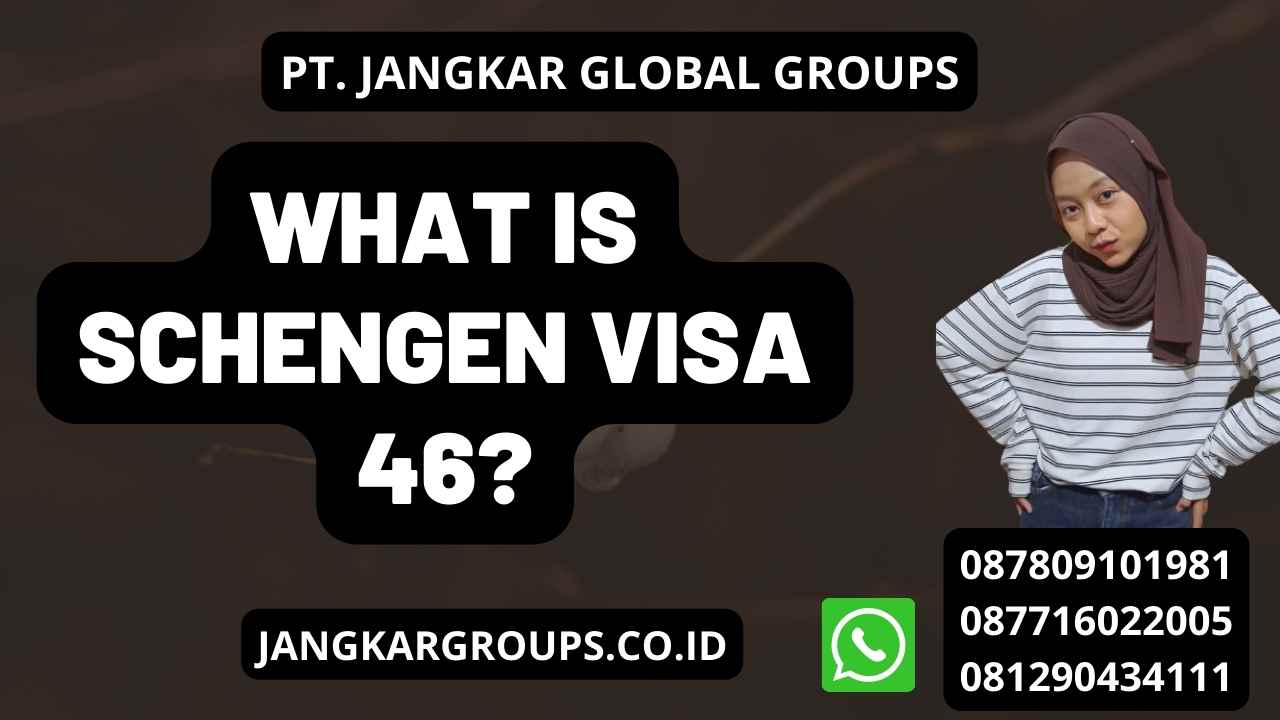 What is Schengen Visa 46?