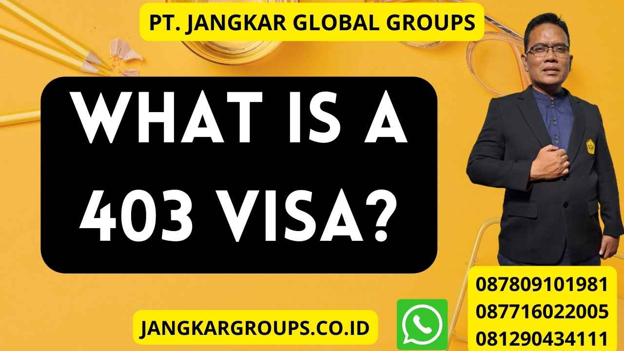 What is a 403 Visa?