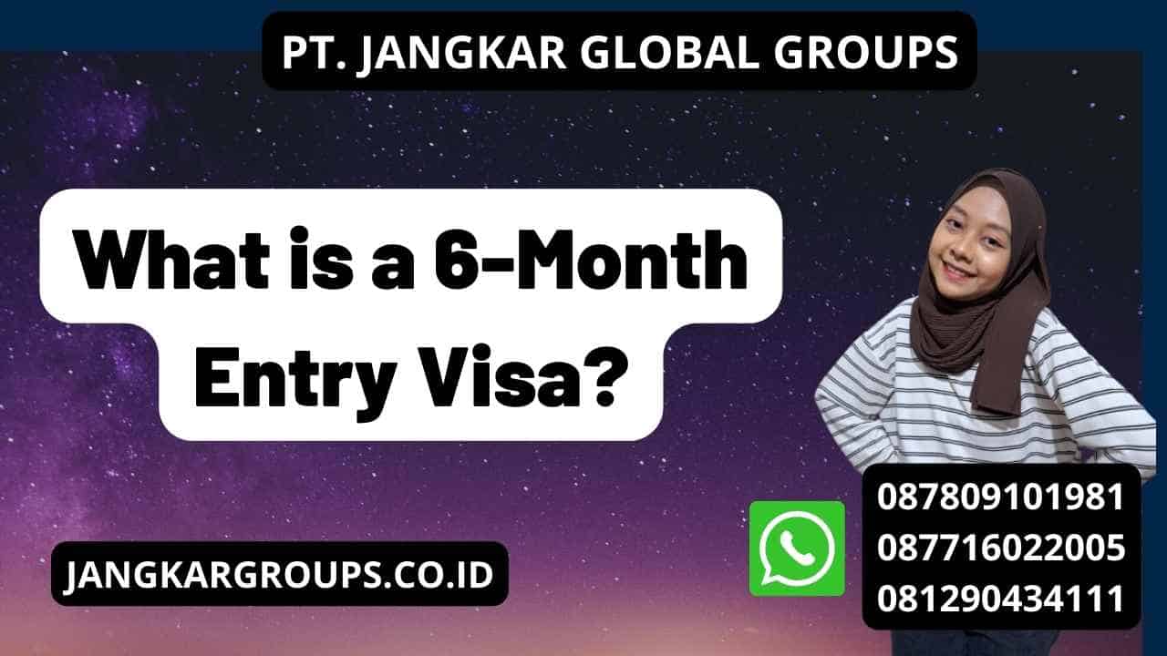 What is a 6-Month Entry Visa?