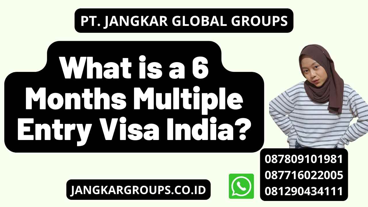 What is a 6 Months Multiple Entry Visa India?
