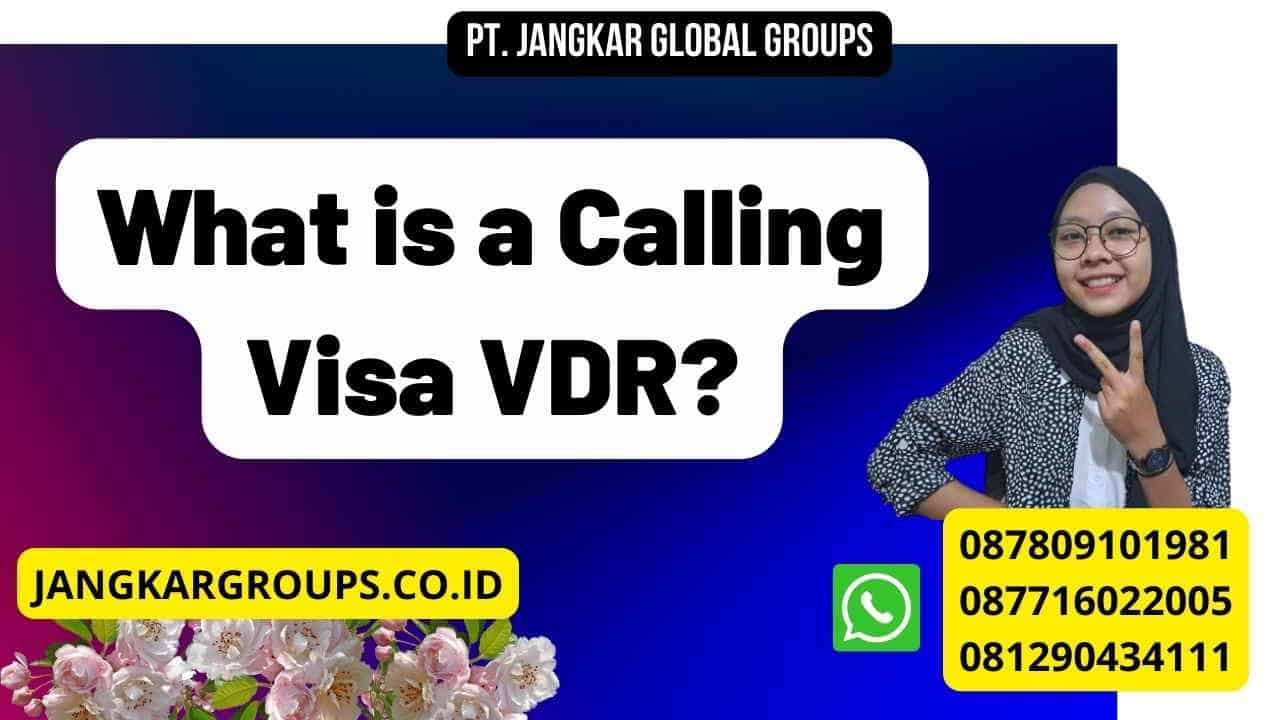 What is a Calling Visa VDR?