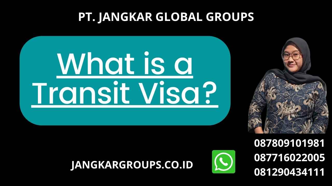 What is a Transit Visa?