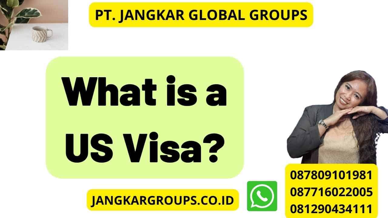 What is a US Visa?