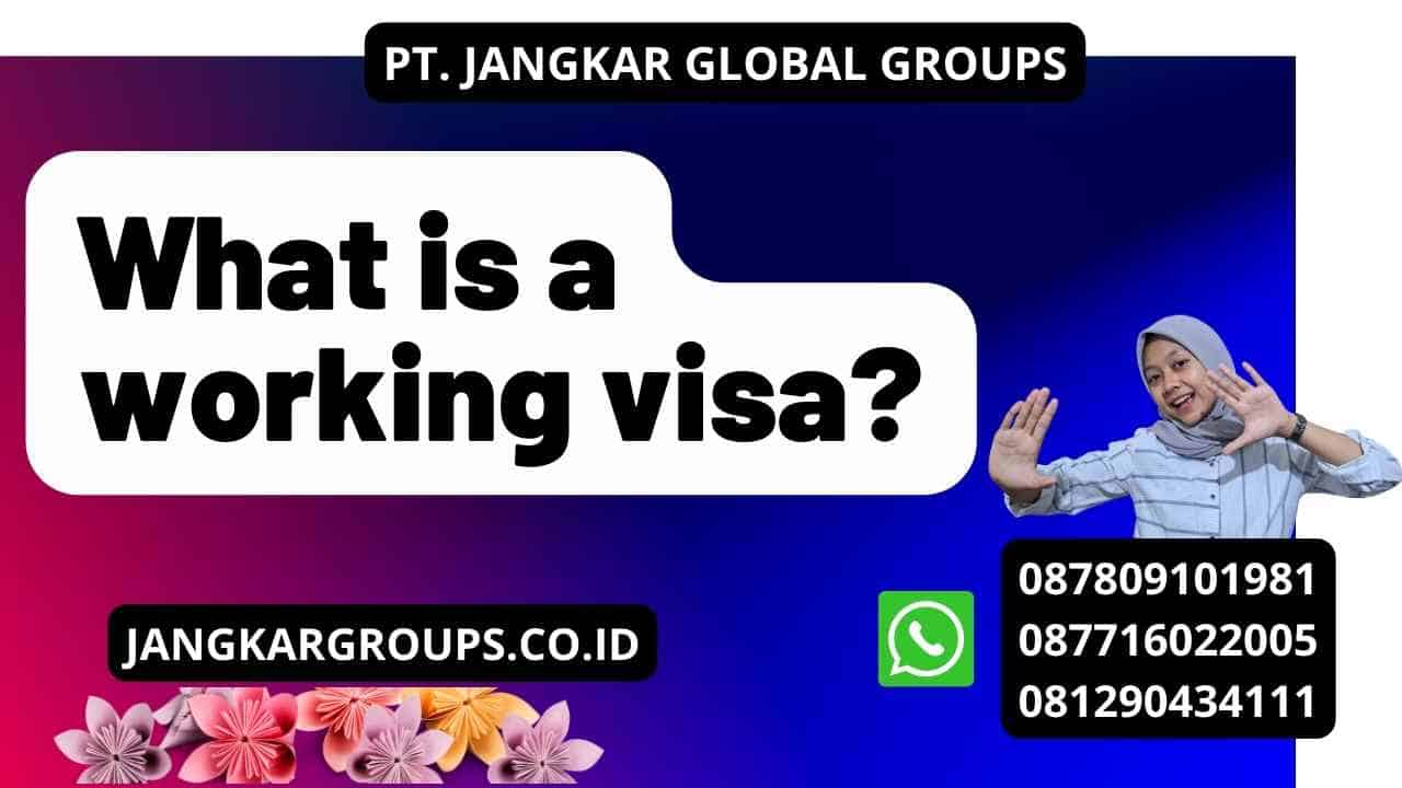 What is a working visa?