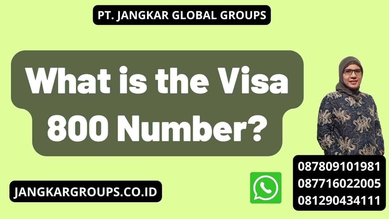 What is the Visa 800 Number?