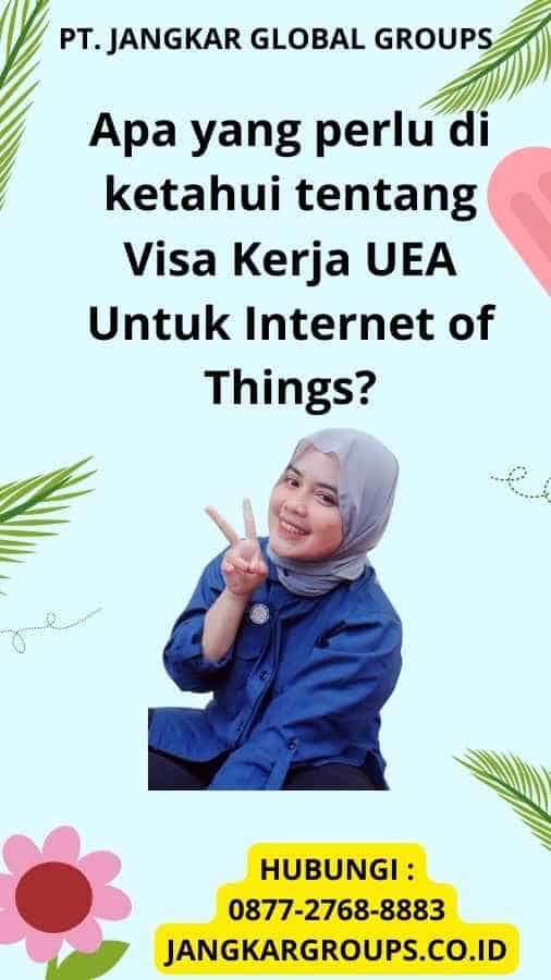 Apa yang perlu di ketahui tentang Visa Kerja UEA Untuk Internet of Things