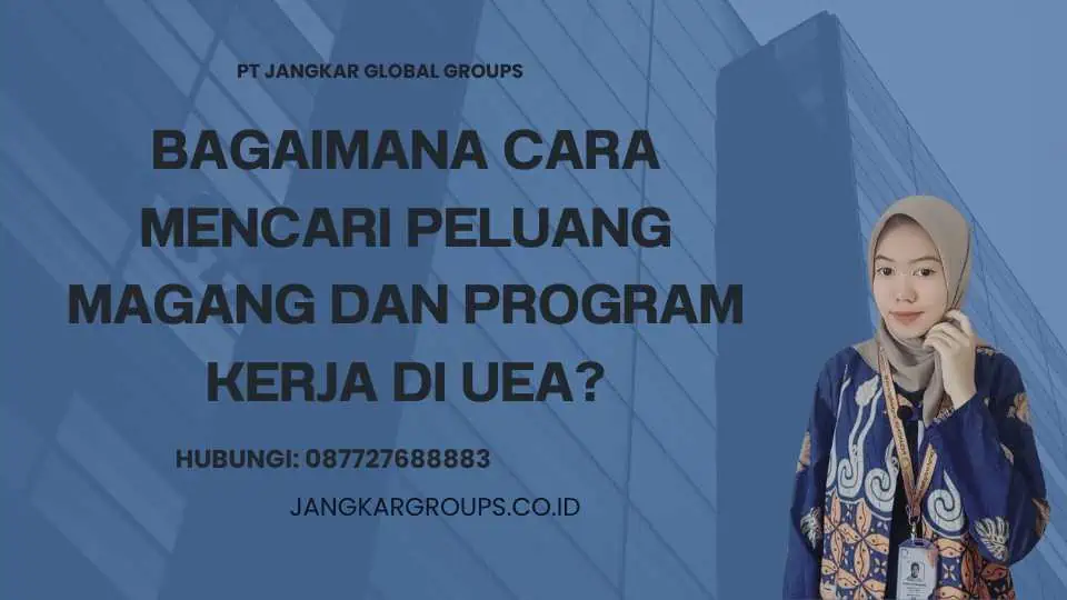 Bagaimana cara mencari peluang magang dan program kerja di UEA