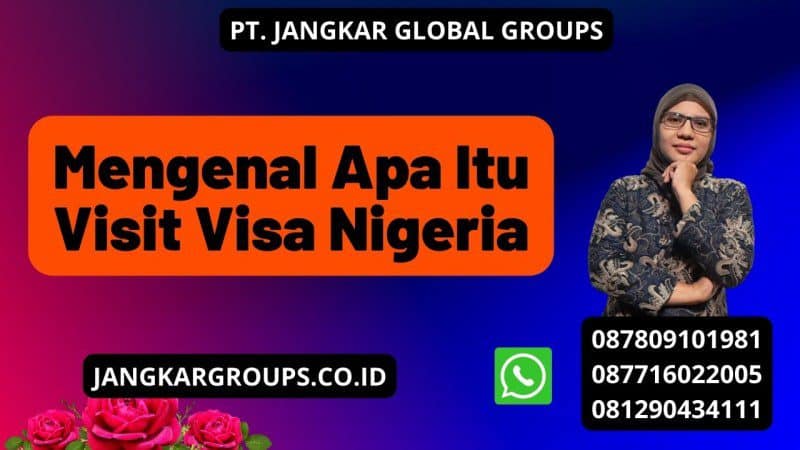 Mengenal Apa Itu Visit Visa Nigeria
