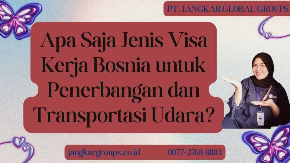 Apa Saja Jenis Visa Kerja Bosnia untuk Penerbangan dan Transportasi Udara