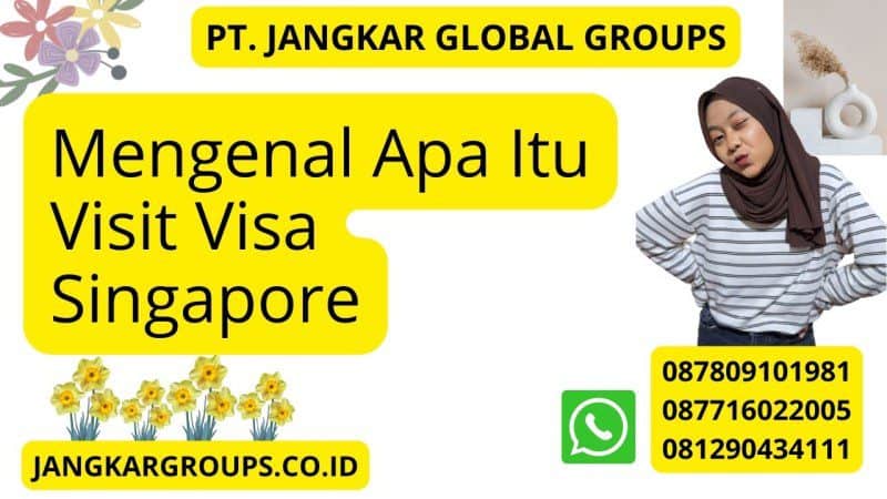 Mengenal Apa Itu Visit Visa Singapore