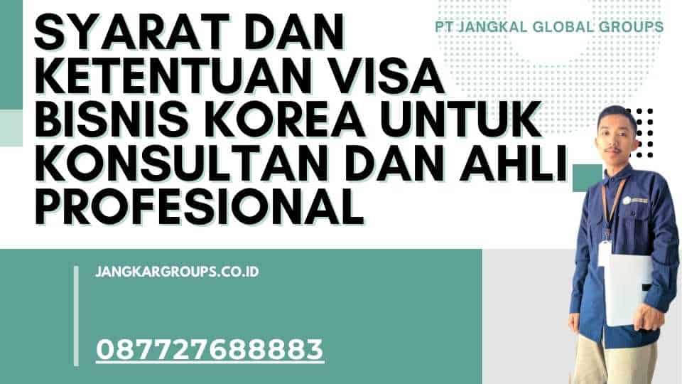 Syarat dan Ketentuan Visa Bisnis Korea Untuk Konsultan Dan Ahli Profesional