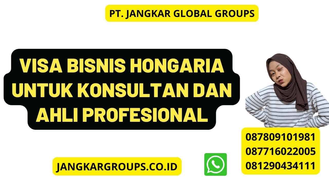 Visa Bisnis Hongaria Untuk Konsultan Dan Ahli Profesional