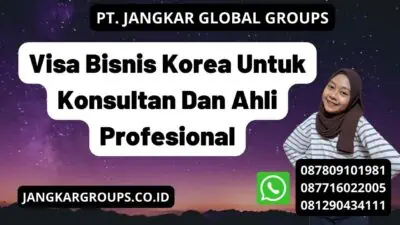 Visa Bisnis Korea Untuk Konsultan Dan Ahli Profesional