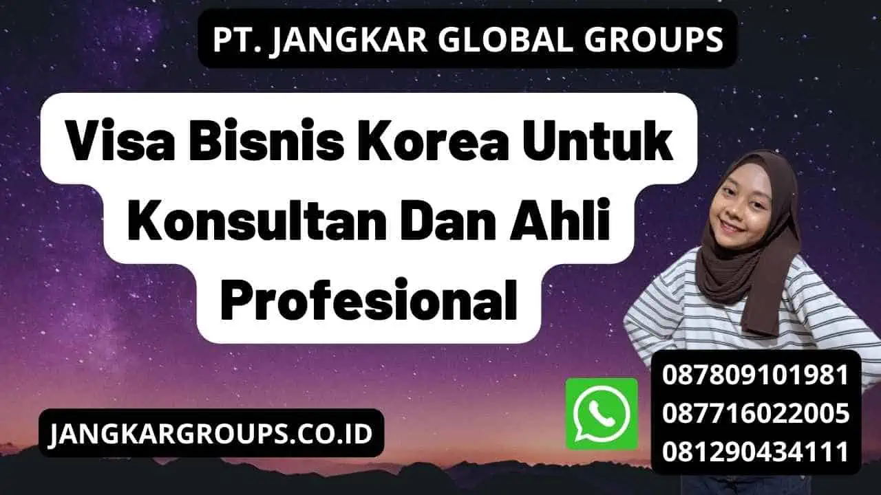 Visa Bisnis Korea Untuk Konsultan Dan Ahli Profesional