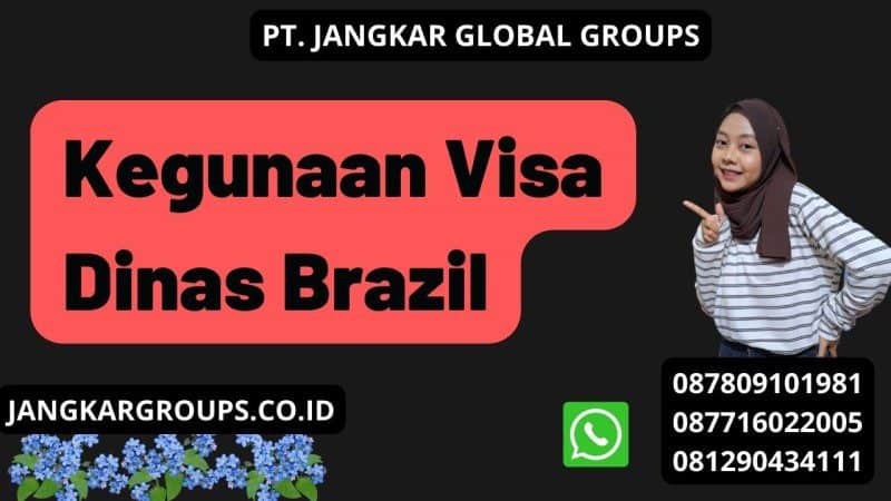 Kegunaan Visa Dinas Brazil