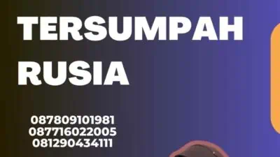 https://jangkargroups.co.id/harga-penerjemah-tersumpah-rusia/