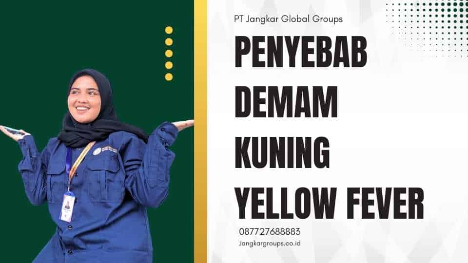 Penyebab Demam Kuning Yellow Fever