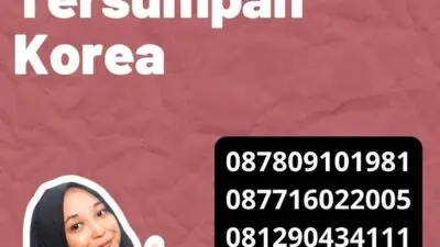 Memahami Tarif Penerjemah Tersumpah Korea