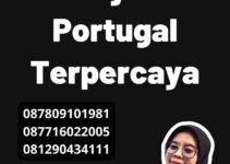 Mengenal Jasa Penerjemah Portugal Terpercaya