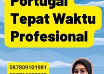 Penerjemah Portugal Tepat Waktu Profesional