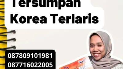 Permintaan atas Penerjemah Tersumpah Korea Terlaris